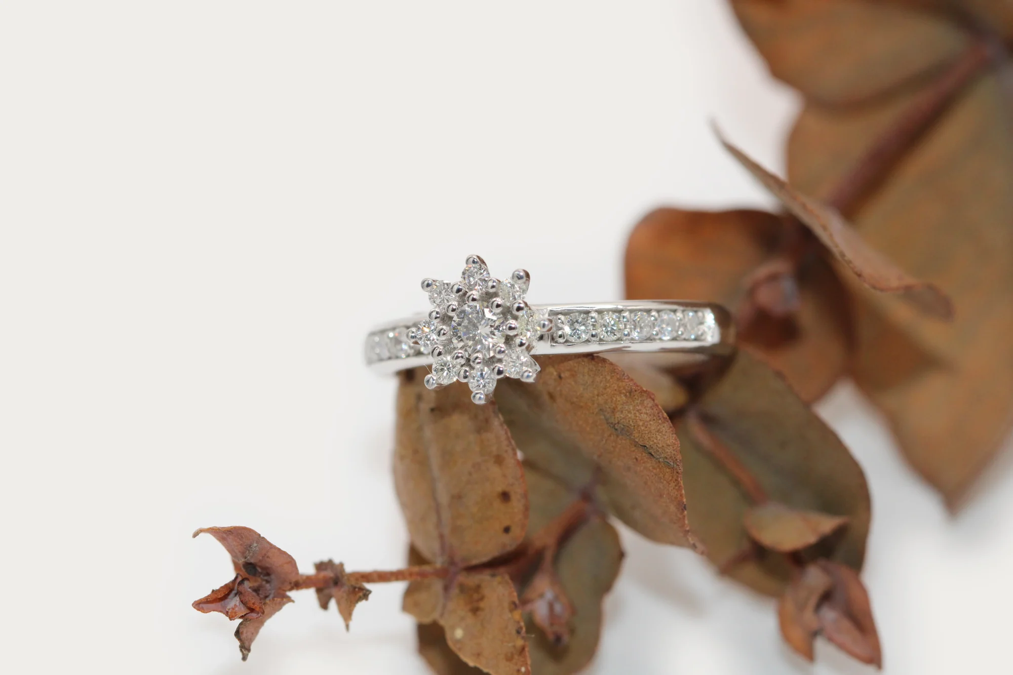 anillo-oro-blanco-18k-flor-diamantes-brillante (3) Anillo flor de oro blanco 18k con 9 diamantes talla brillante H/VS y diamantes en el brazo